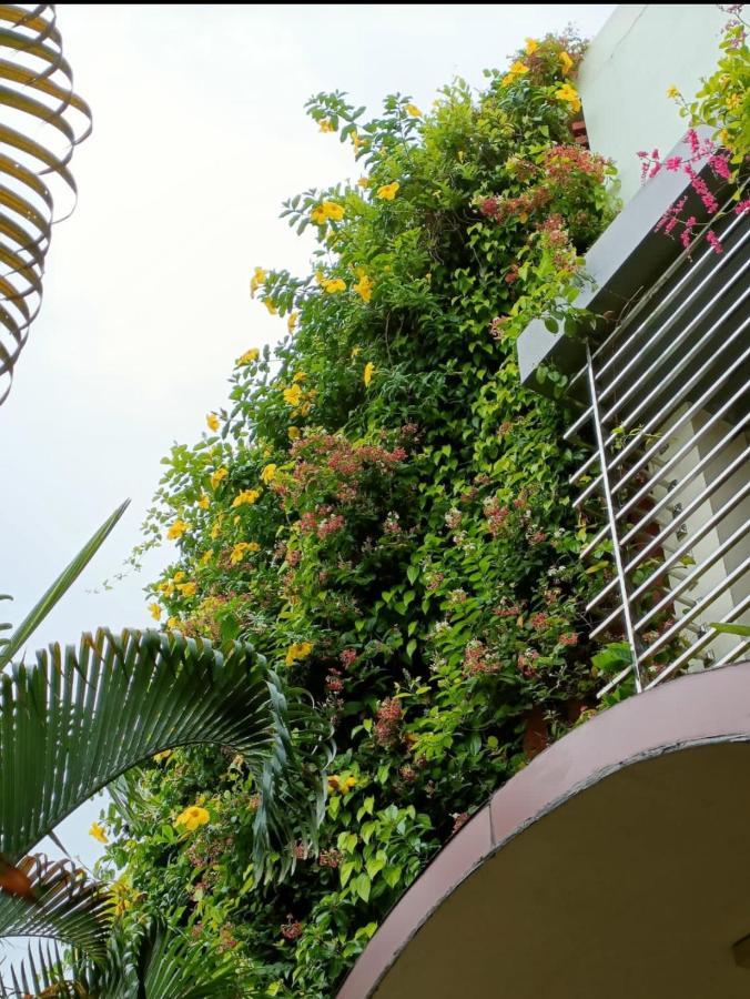 Mango Tree Homestay Хампи Экстерьер фото